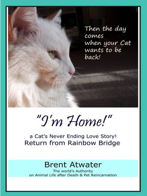 cover image of I'm Home! a Cat's Never Ending Love Story, Cat reincarnation stories- Animal Life after Death, Pet Heaven, Pet loss & Reincarnation